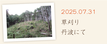 草刈り　丹波にて